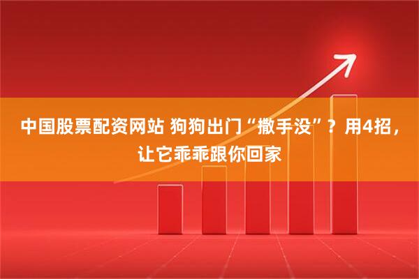 中国股票配资网站 狗狗出门“撒手没”？用4招，让它乖乖跟你回家