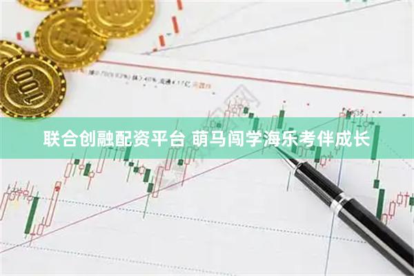 联合创融配资平台 萌马闯学海乐考伴成长