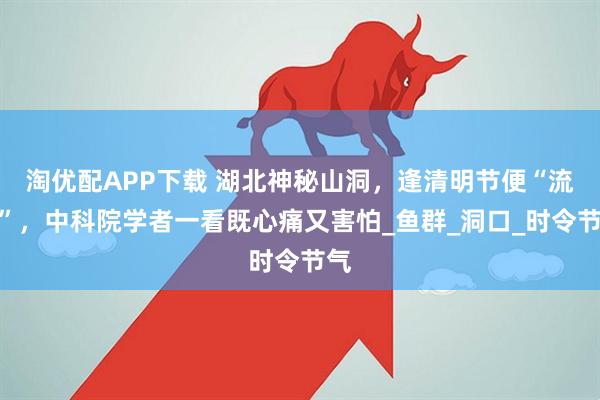 淘优配APP下载 湖北神秘山洞，逢清明节便“流鱼”，中科院学者一看既心痛又害怕_鱼群_洞口_时令节气