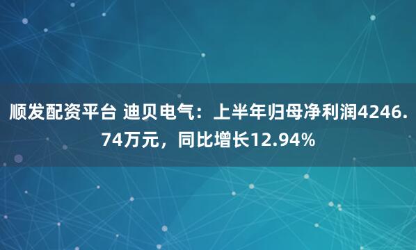 顺发配资平台 迪贝电气：上半年归母净利润4246.74万元，同比增长12.94%