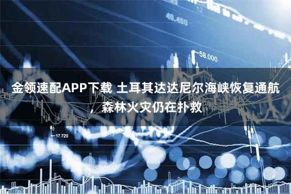 金领速配APP下载 土耳其达达尼尔海峡恢复通航，森林火灾仍在扑救